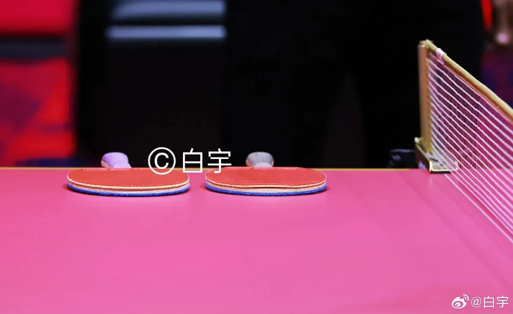 Wang Chuqin's Racket damaged, at WTTC Doha 2025